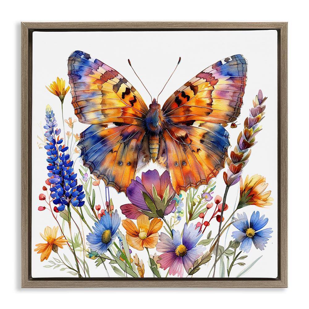 Orange and Blue Butterfly by LSR Design Studio Brown Floater Frame Animal Graphic Art Print 25 in. x 25 in. price history on PriceWatchPro