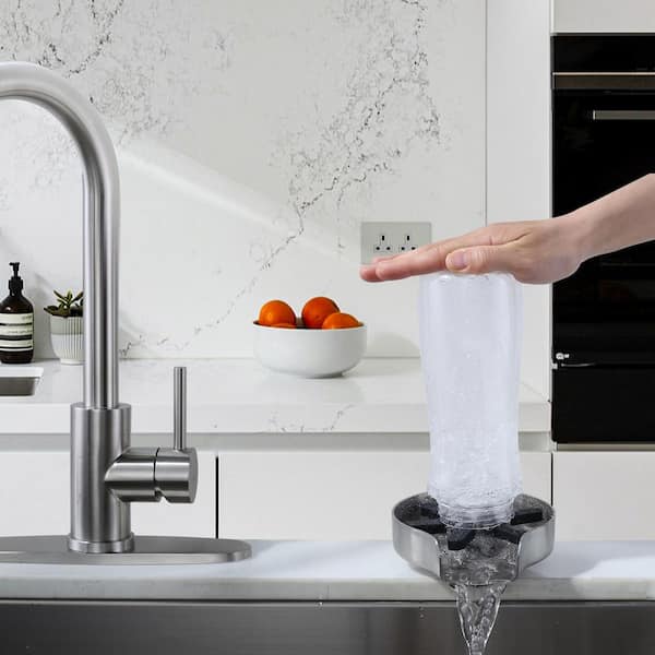 5 in. Stainless Steel Glass Rinser Cup Washer with Silicone Blade and Supply Lines for Kitchen Sinks in Brushed Nickel