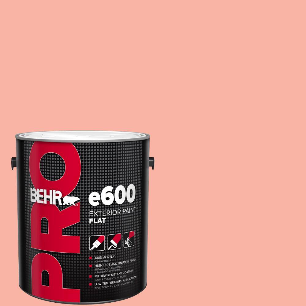 1 gal. #180A-3 Just Blush Flat Paint price history on PriceWatchPro