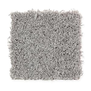 Top Gear II  - Bird Bath - Gray 40 oz. Polyester Texture Installed Carpet