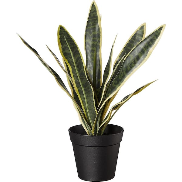 Cubilan 15 .7 in. Green Artificial Sansevieria in Pot