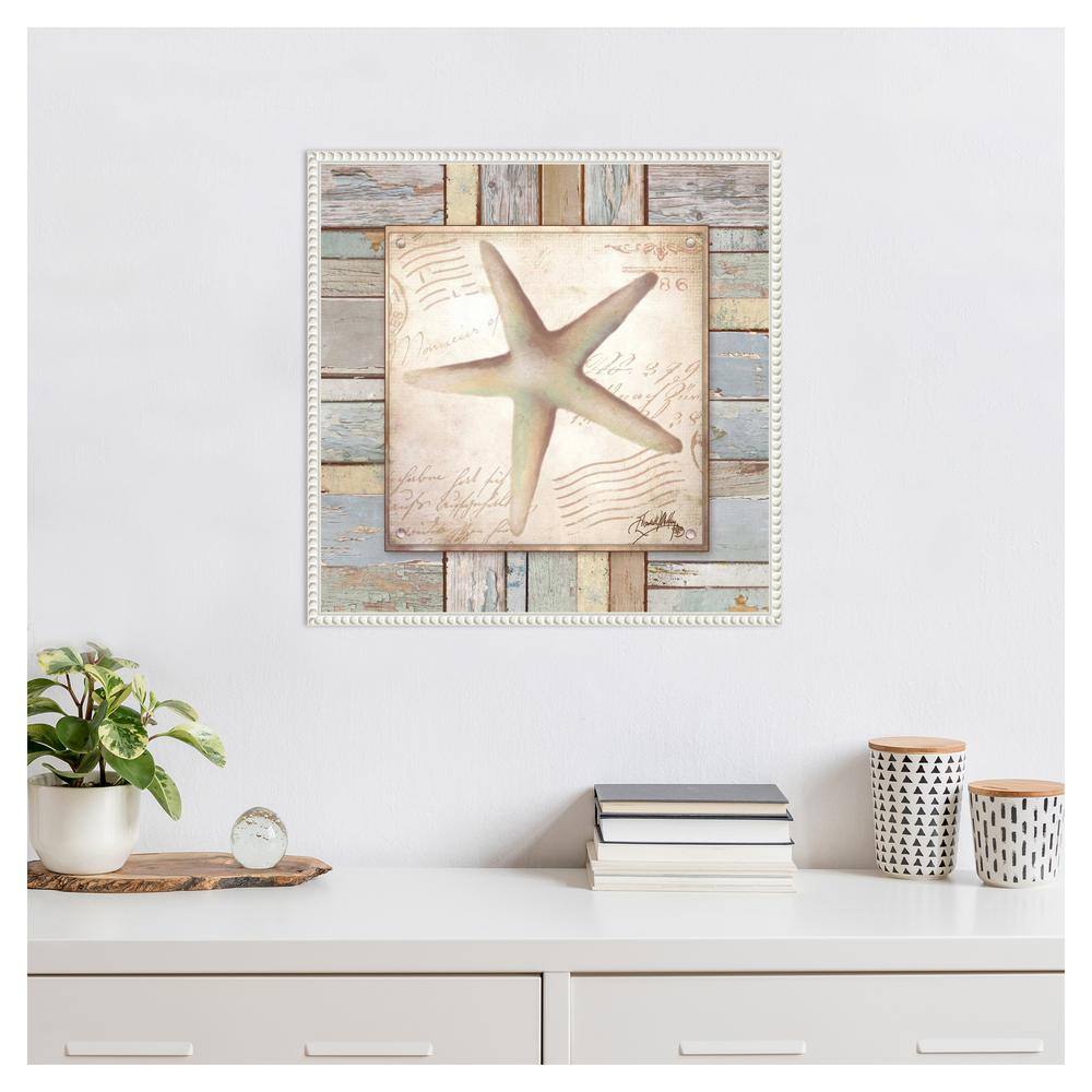 Beach Shell IV Coastal Canvas Art with White Floater Frame