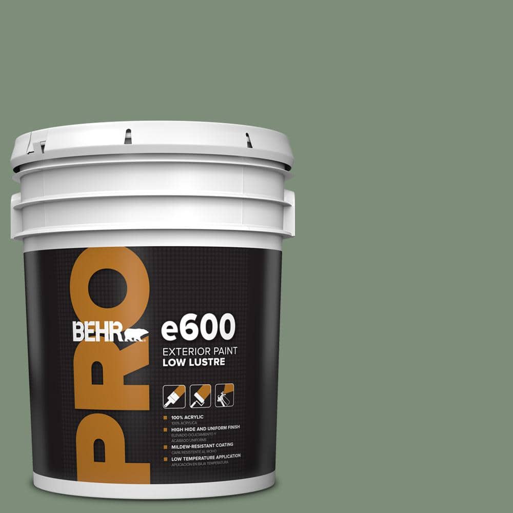 5 gal. #450F-5 Amazon Moss Low Luster Exterior Paint price history on PriceWatchPro