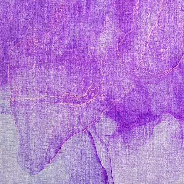 Purple 2 ft. x 3 ft. Abstract Indoor/Outdoor Area Rug