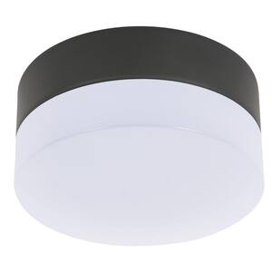 Climate Black Glass Ceiling Fan Bowl Light Kit