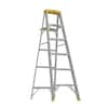 Werner 6 ft. Aluminum Step Ladder (10 ft. Reach Height) with 250 lb. Load Capacity Type I Duty Rating 366