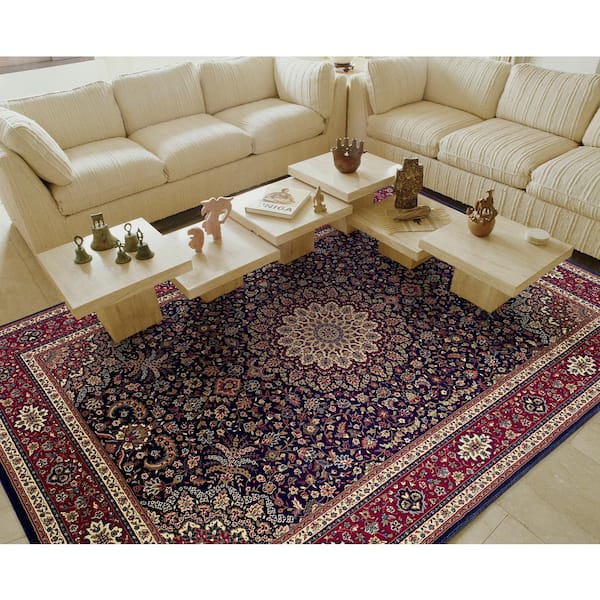 Alyssa Blue/Red 4 ft. x 6 ft. Oriental Area Rug
