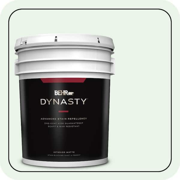 BEHR DYNASTY 5 gal. #460A-1 Bubble Matte Interior Stain-Blocking Paint & Primer