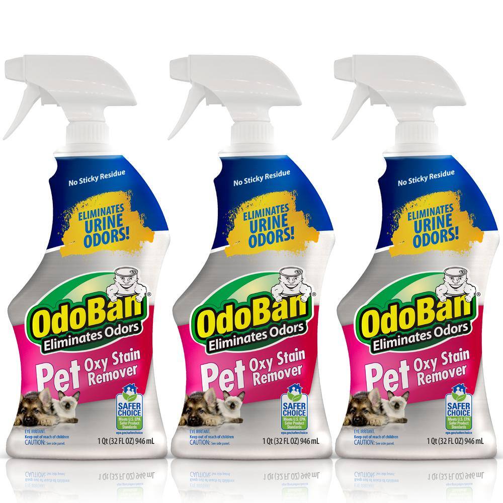 OdoBan 32 oz. Pet Oxy Stain Remover, Oxygen Activated Hydrogen Peroxide Pet Stain Remover for