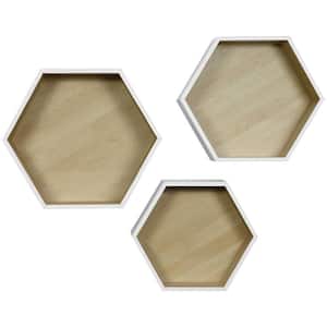Hexagon 12 in. x 14 in. White Decorative Wall Shelf for Home and More