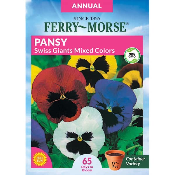 Ferry-Morse Pansy Swiss Giants Mixed Colors Flower Seed