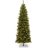 https://images.thdstatic.com/productImages/29da2ac6-b262-4378-9c7a-feeaf2326a7a/svn/national-tree-company-pre-lit-christmas-trees-nrv7-358-90-64_100.jpg