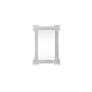 31 in. W x 47 in. H Wood Silver Decorative Mirror