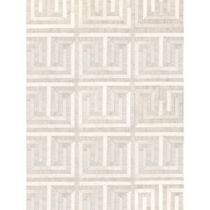 Galaxy Multi 5 ft. x 8 ft. Geometric Cowhide and Silk Area Rug