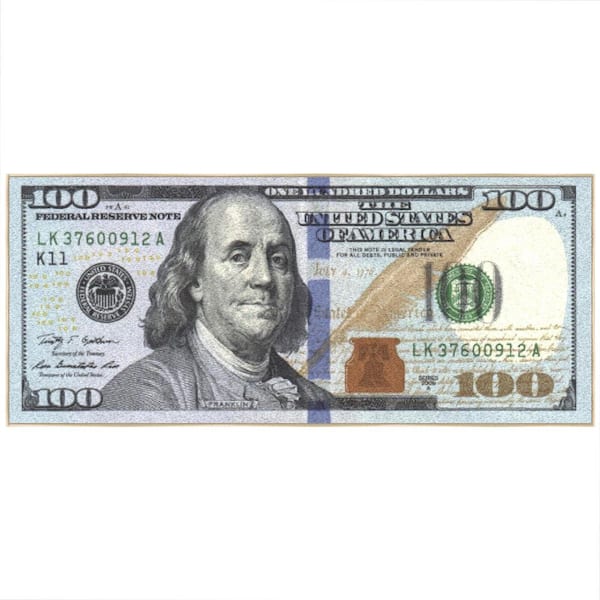 Ottomanson 100 Dollar Bill Collection Non-Slip Rubberback Money 22x53 Money Rug, 22 in. x 53 in., Multicolor