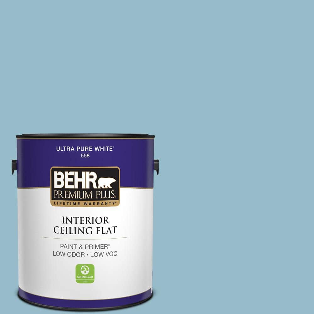 1 gal. #S480-3 Sydney Harbour Ceiling Flat Interior Paint price history on PriceWatchPro