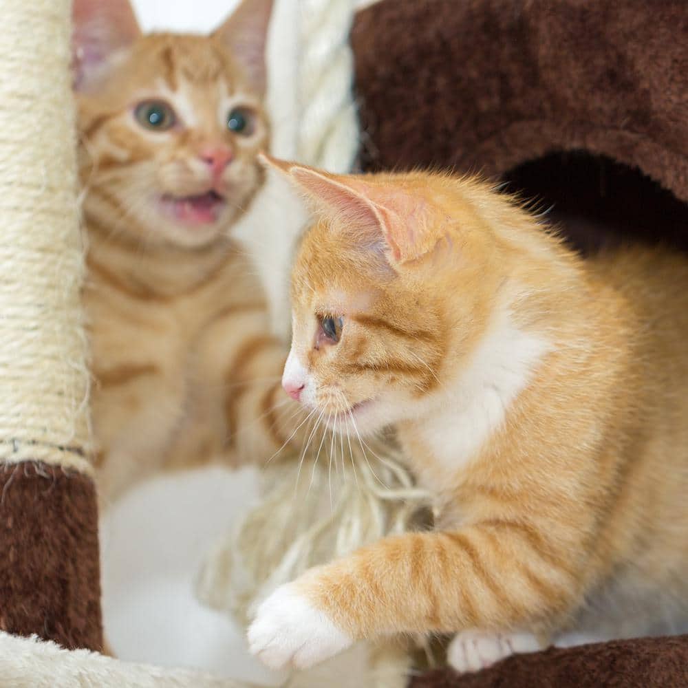 Beige 31" Sisal 3-Tier Cat Tree with Condo and Perch