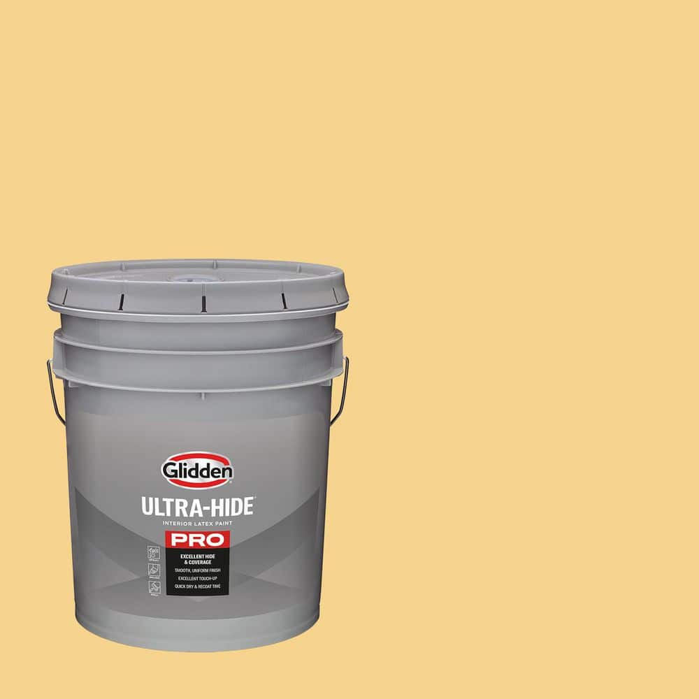 5 gal. PPG1210-4 Maybe Maui Satin Interior Paint price history on PriceWatchPro