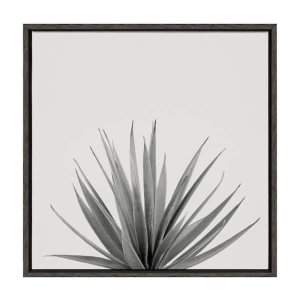Sylvie Haze Agave Succulent 1-Piece Gray Framed Canvas Art Print, 22.00 in. x 22.00 in.