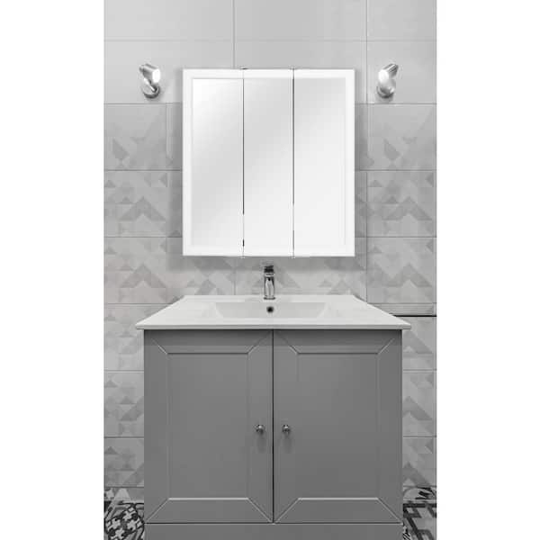 Ryde 24 in. Surface Mount White Medicine Cabinet with Mirror