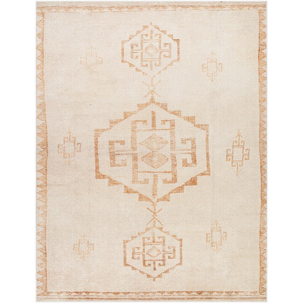 Becki Owens Solana Beige Moroccan 2 ft. x 7 ft. Indoor Area Rug price history on PriceWatchPro