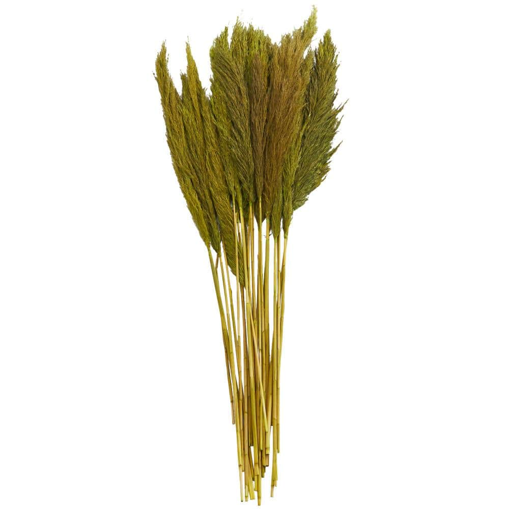 Litton Lane Pampas Natural Foliage with Long Stems (One Bundle) 043447 ...