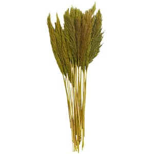 Pampas Natural Foliage with Long Stems (One Bundle)