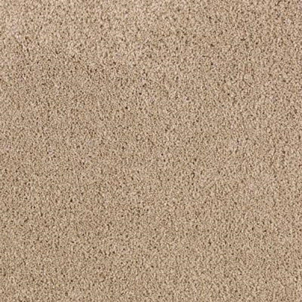 8 in. x 8 in. Texture Carpet Sample - Ambrosina II -Color Desert Villa price history on PriceWatchPro