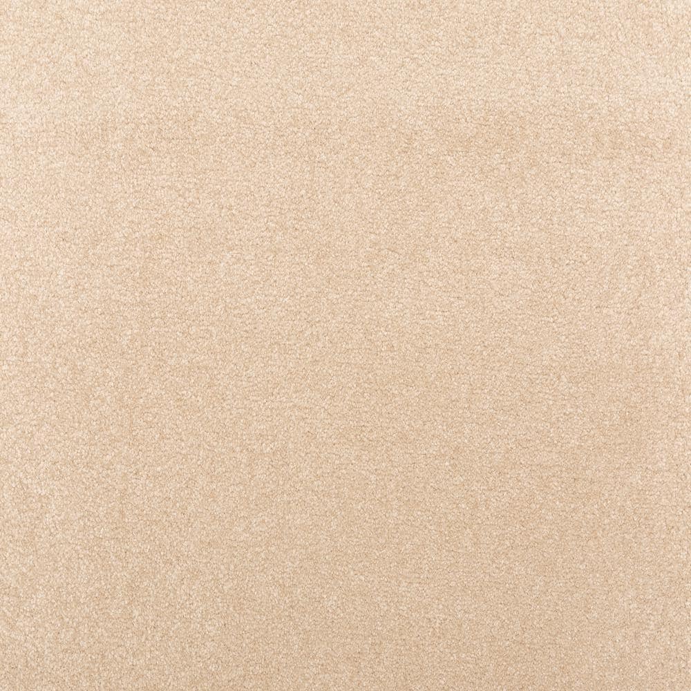 8 in. x 8 in. Texture Carpet Sample - Waking Up I - Color Subtle price history on PriceWatchPro