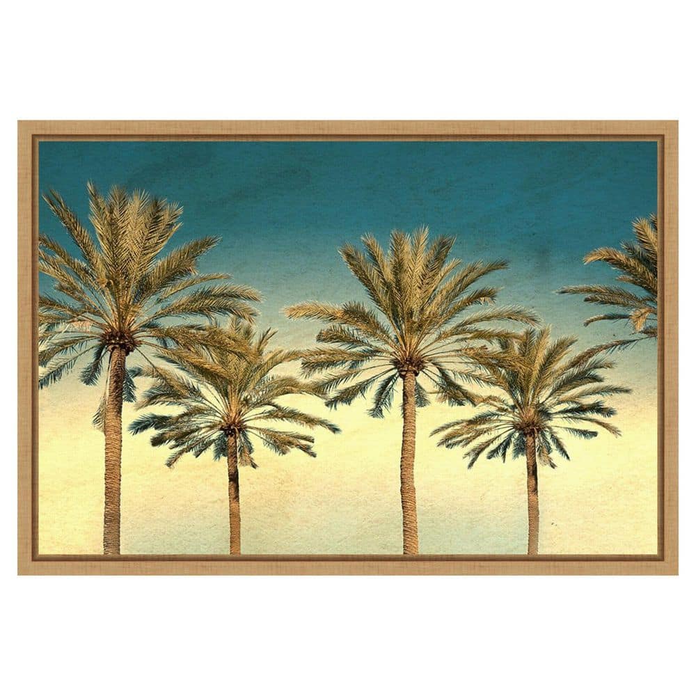 Distressed Palm Trees by Daniel Stein 1 Piece Floater Frame Canvas Giclee Nature Art Print 16 in. x 23 in. price history on PriceWatchPro