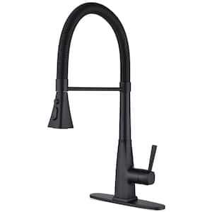 Single Handle Pull Down Sprayer Kitchen Faucet with Advanced Spray, Pull Out Sprayer in MatteBlack Stainless