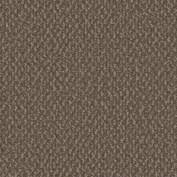 Home Decorators Collection Dark Paradise - Savor - Brown 25 oz. SD Polyester Loop Installed Carpet