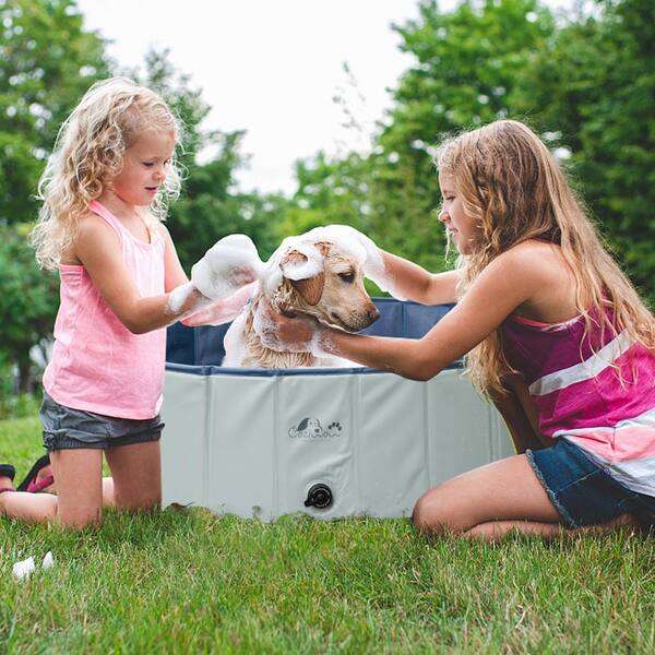 Home depot best sale dog pool