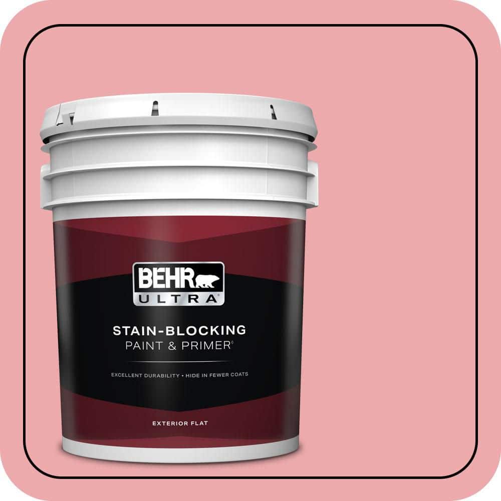 5 gal. #140C-3 Hibiscus Petal Flat Exterior Paint & Primer price history on PriceWatchPro