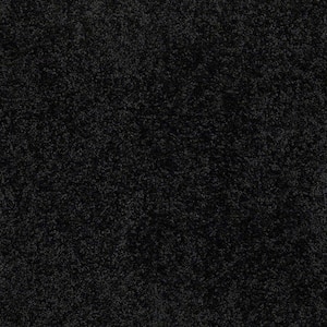 8 in. x 8 in. Texture Carpet Sample - Alpine - Color Mystery
