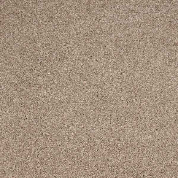 Lifeproof with Petproof Technology Still in Love I Friendship Beige 39 oz. Blend Texture Installed Carpet