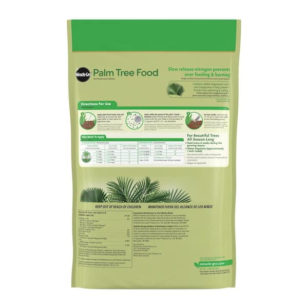 money tree money tree Money Tree Plant Care - How to Grow Pachira aquatica main image 1