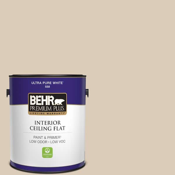 1 gal. #ICC-22 Haze Ceiling Flat Interior Paint