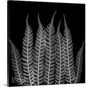 "Fern Leaf X-Ray Photograph" by Albert Koetsier Canvas Wall Art