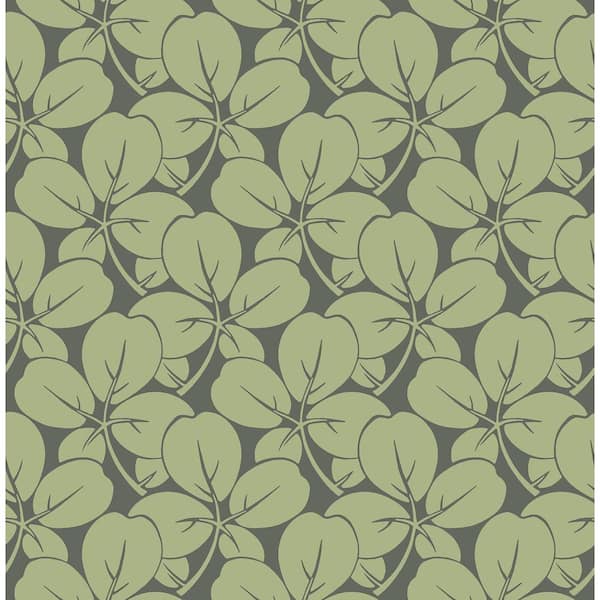 A-Street Prints Robert Green Clover Wallpaper Sample