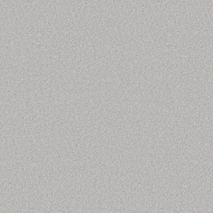 Rosemary II - Salted -Gray 56 oz. High Performance Polyester Texture Installed Carpet