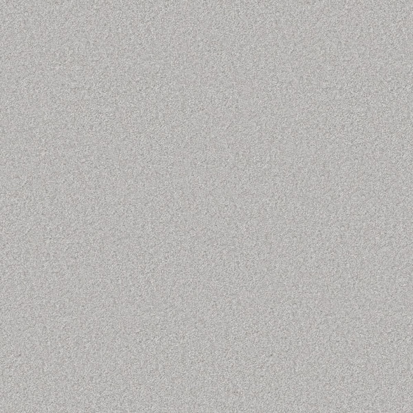 Rosemary III - Salted-Gray 12 ft. 66 oz. High Performance Polyester Texture Installed Carpet