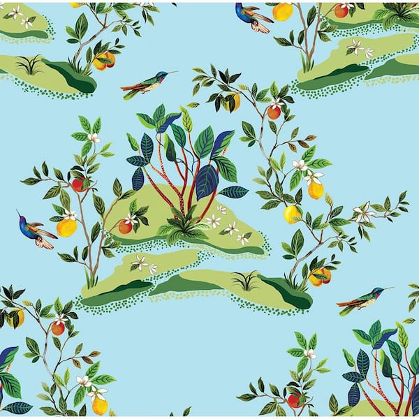 Seabrook Designs Sky Blue Citrus Hummingbird Unpasted Nonwoven Paper Wallpaper Roll 60.75 sq. ft.
