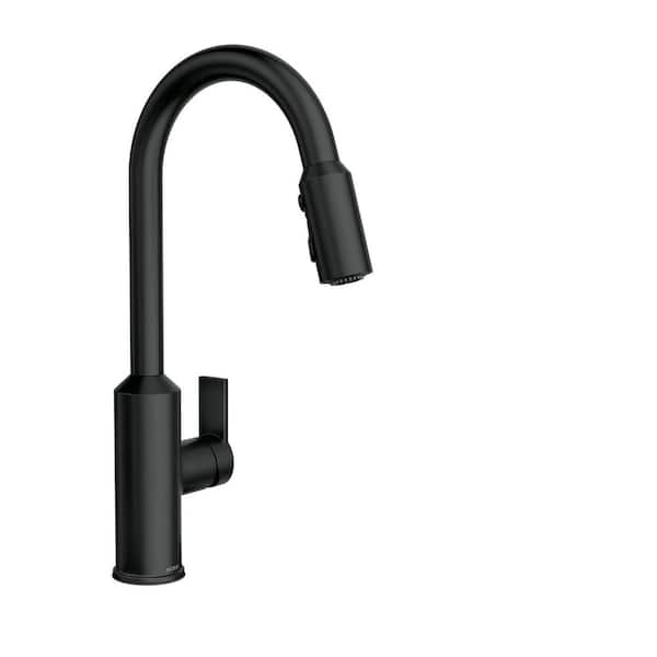 MOEN Meena Single Handle Pull Down Sprayer Kitchen Faucet With Power Clean And Reflex In Matte