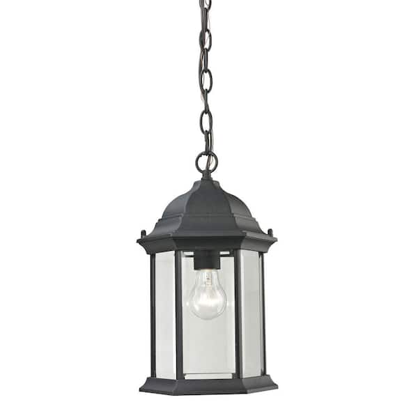 Titan Lighting Spring Lake 1-Light Matte Textured Black Outdoor Pendant