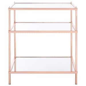 Noelia 22 in. Rose Gold Rectangle Metal End Table with Shelves