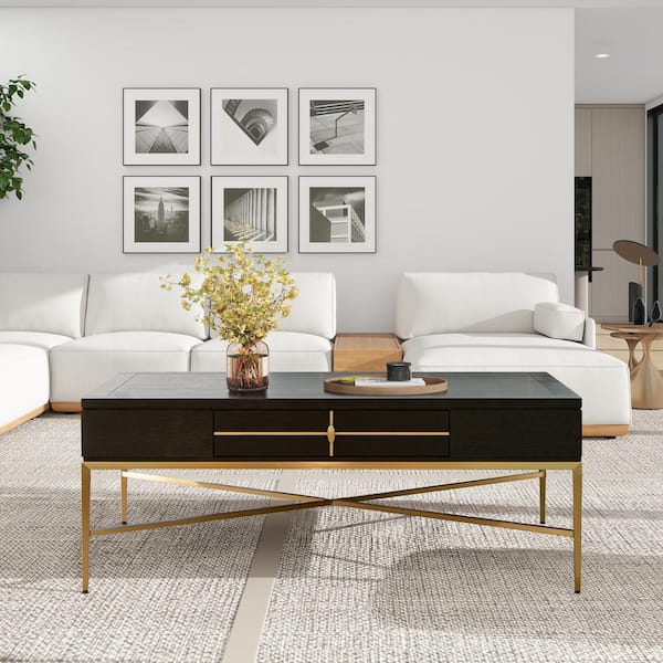 Kingsly 51 in. Contemporary Glam Storage Coffee Table, Espresso Black Birchwood & Veneer