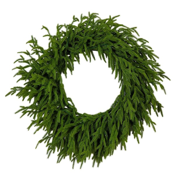 24 in. Pre-Lit Real Touch Norfolk Island Pine Artificial Christmas Wreath with 50-Warm White LED Lights and Natural Look