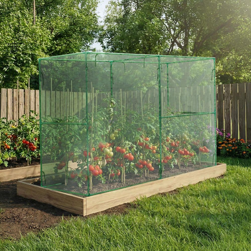 LAST CROPS ケースグリーン Aoodor 73 in. H Green 2-Roomed Walk-In Crop Cage Plant Protection