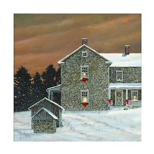 Unframed Home Jerry Cable 'Blowing Snow' Photography Wall Art 24 in. x 24 in.